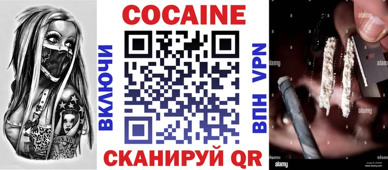 COCAIN Fish Scale  Кохма 