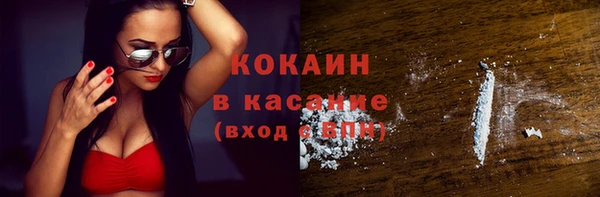 твердый Сатка