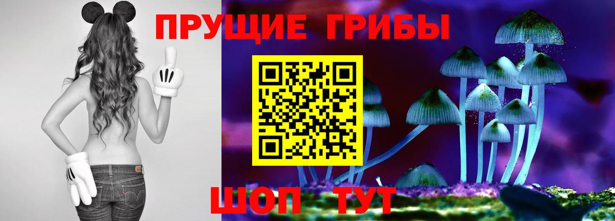 наркошоп  Вход с VPN  Галлюциногенные грибы мицелий  Кохма  Галлюциногенные грибы MAGIC MUSHROOMS 